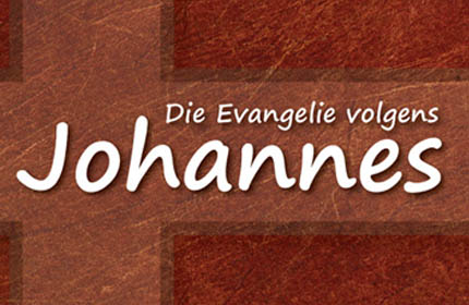 Die Evangelie volgens Johannes (e-boek)